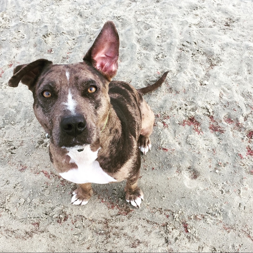 Meet your Posher, Vanessa